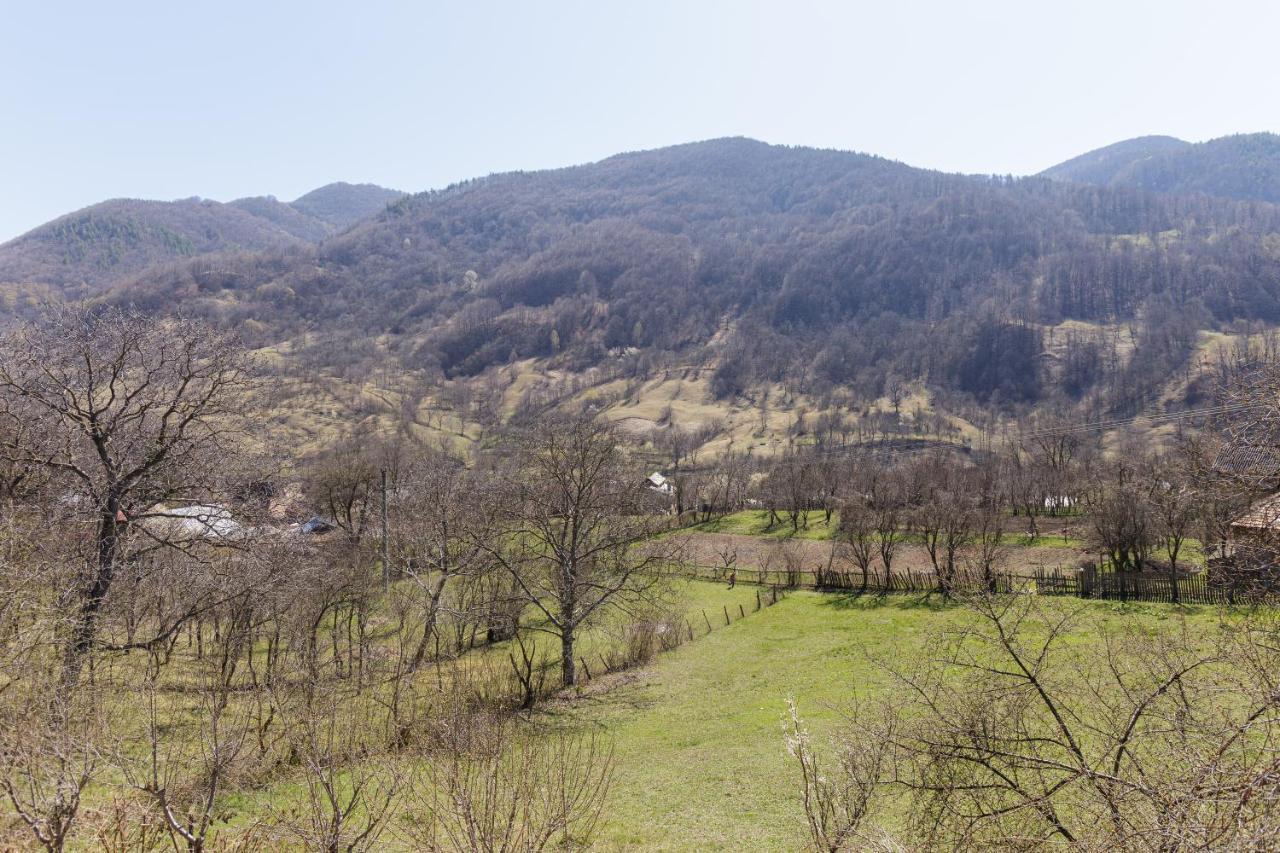 Nook Of Nature Basca Rozilei 외부 사진